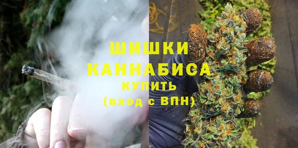 PSILOCYBIN Пестово
