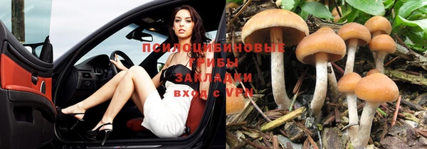 PSILOCYBIN Пестово