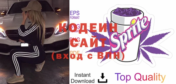 прущие грибы Инсар