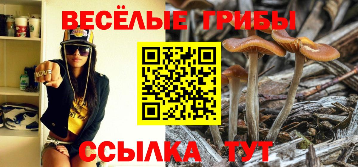 Псилоцибиновые грибы GOLDEN TEACHER Ржев