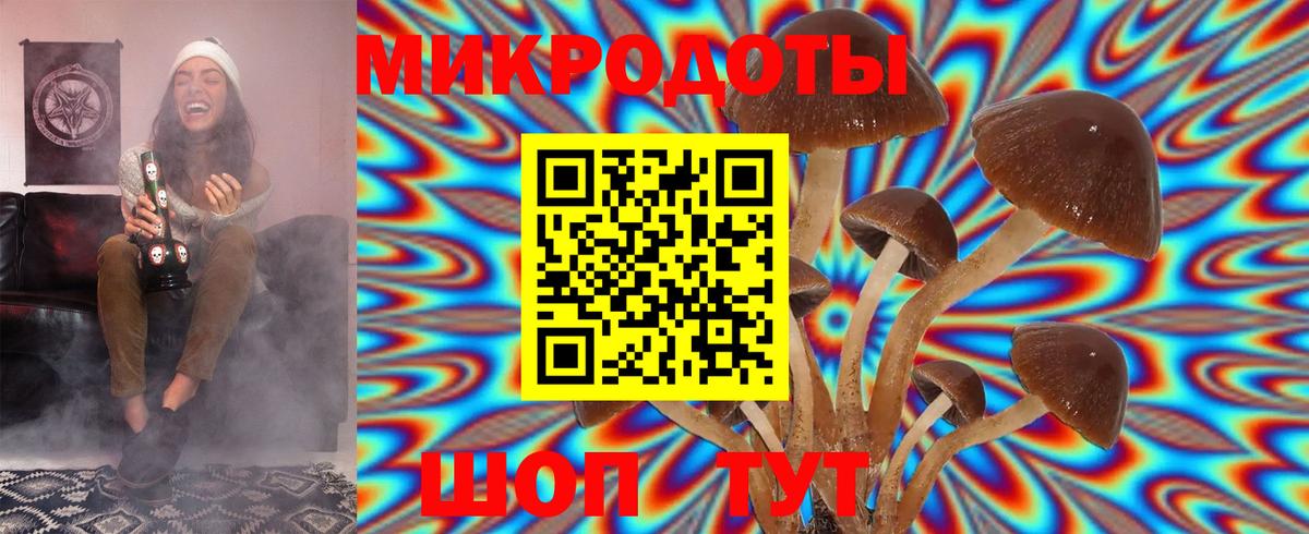 Псилоцибиновые грибы Cubensis  Вход с VPN  Ржев 