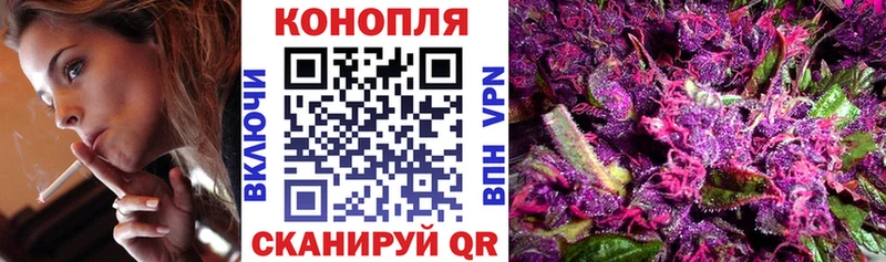 где найти наркотики  Ржев  Каннабис Amnesia 