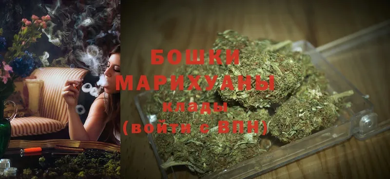 где купить   Ржев  Каннабис SATIVA & INDICA 